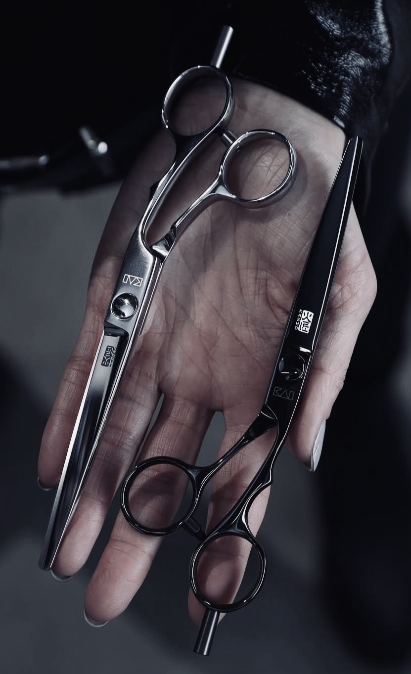 Professional hair scissors